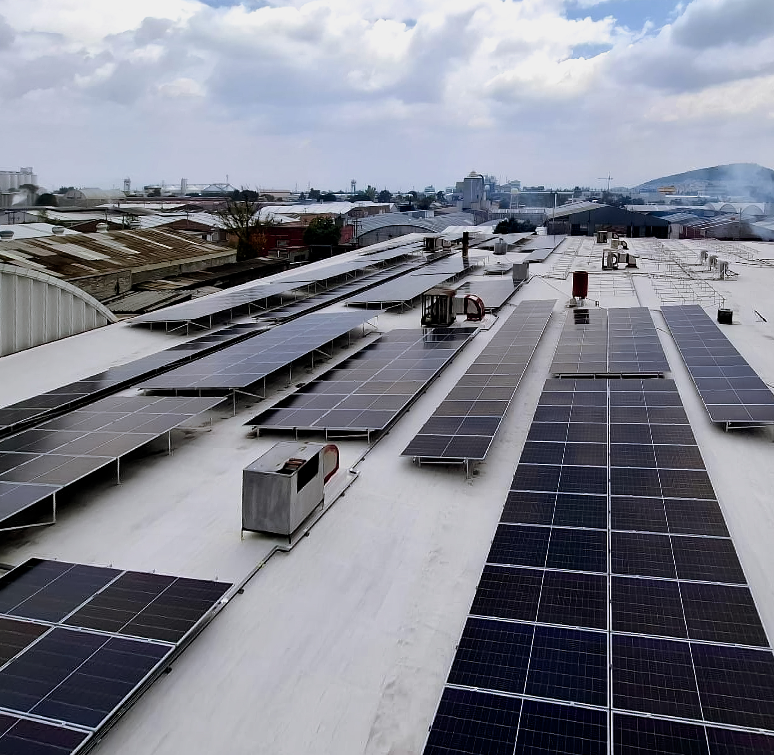 Why Invest in American Specialized?